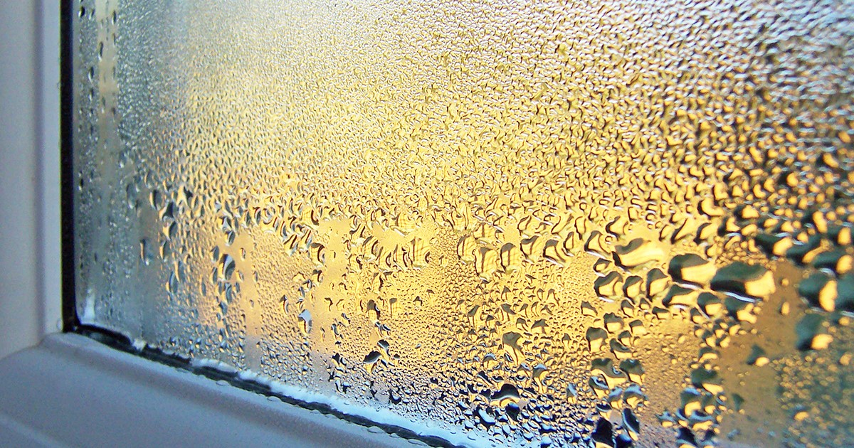 Image of a window with condensation for this week's article, shared to you on behalf of Realtor Broker, Jennifer Rhodes