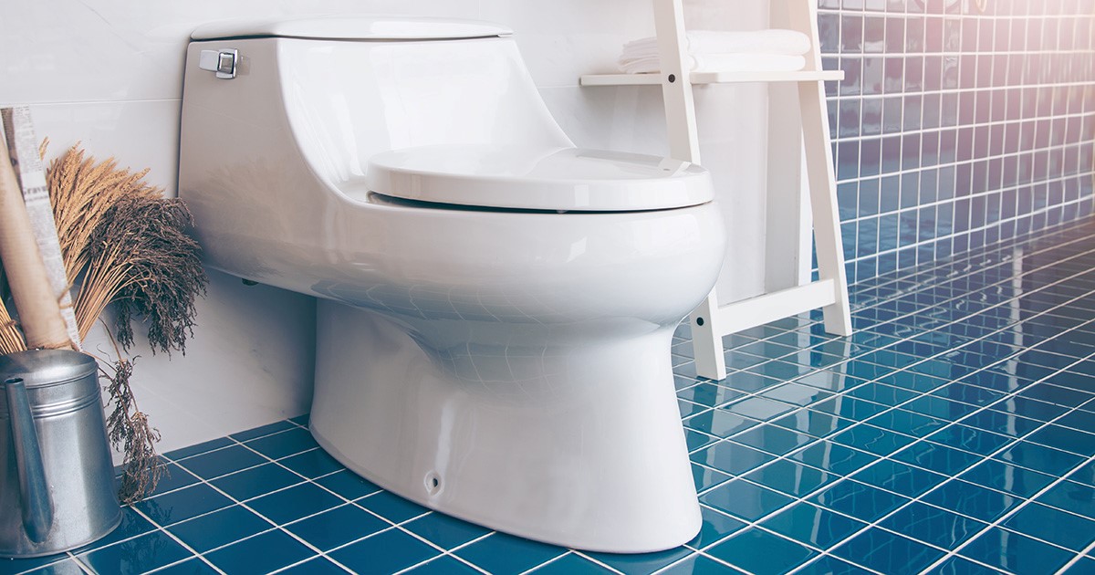Photo of bathroom toilet, featured in blog post 'Time for Toilet Upgrade' on RhodesToKona.com by Big Island Realtor Broker, BIC Jennifer Rhodes
